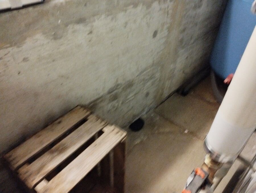 lutte-mulot-rats-rongeurs-souris