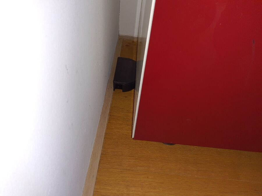 combattre-rats-ratton-rongeur-mulot