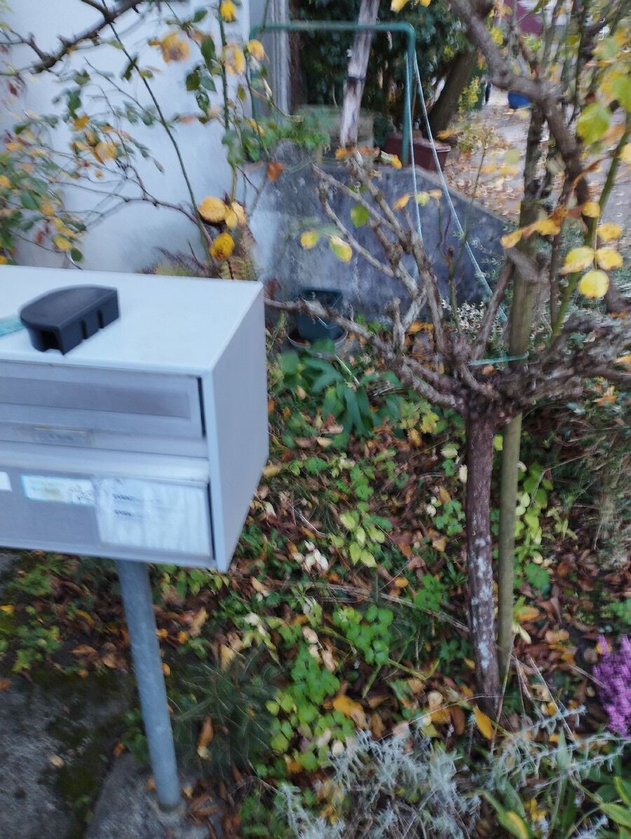 lutte-mulot-rats-rongeurs-souris