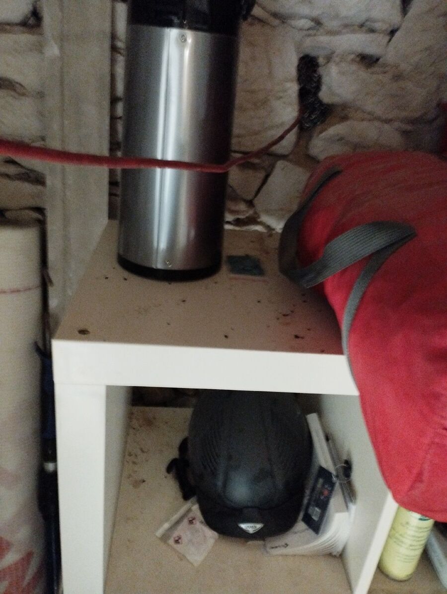 lutte-mulot-rats-rongeurs-souris