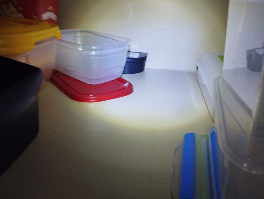 ratton-rats-rongeur-souris-deratiseur