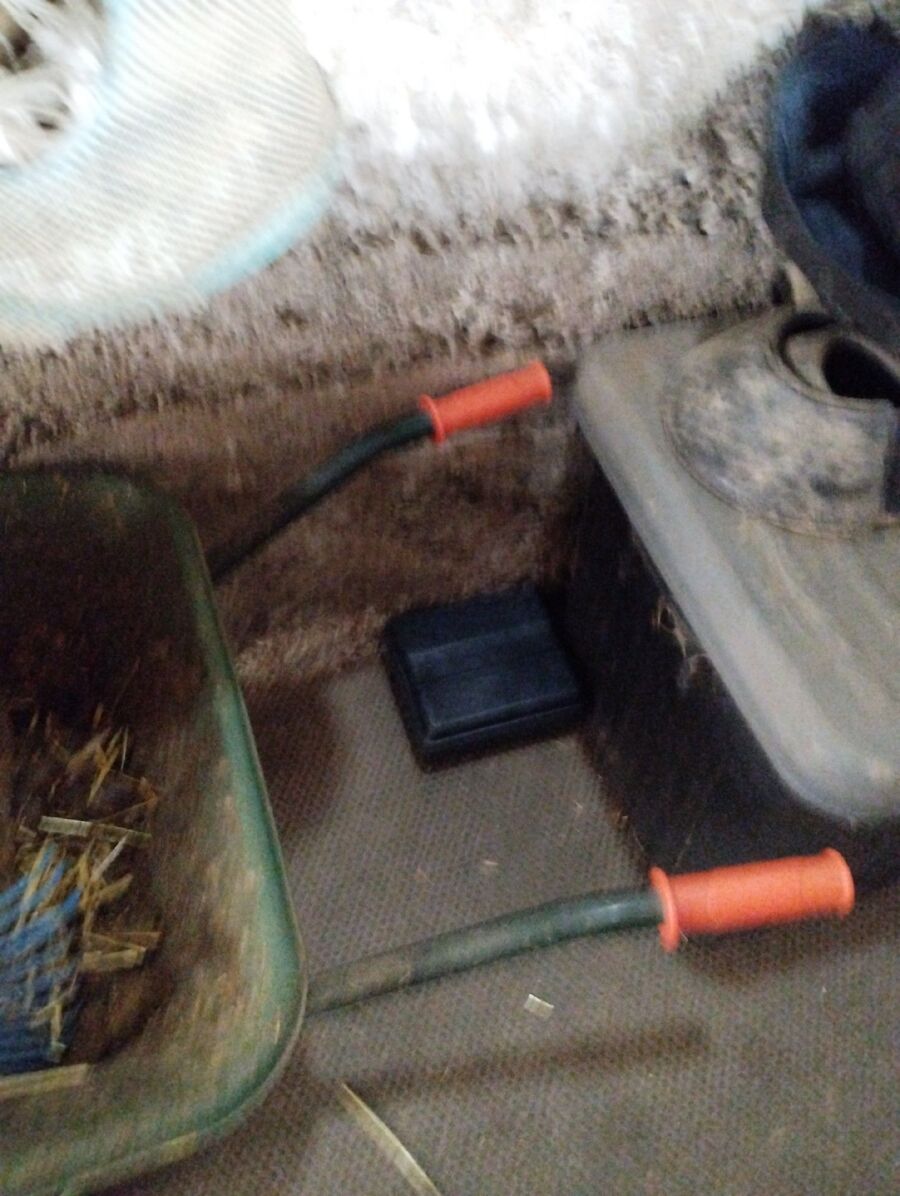 lutte-mulot-rats-rongeurs-souris