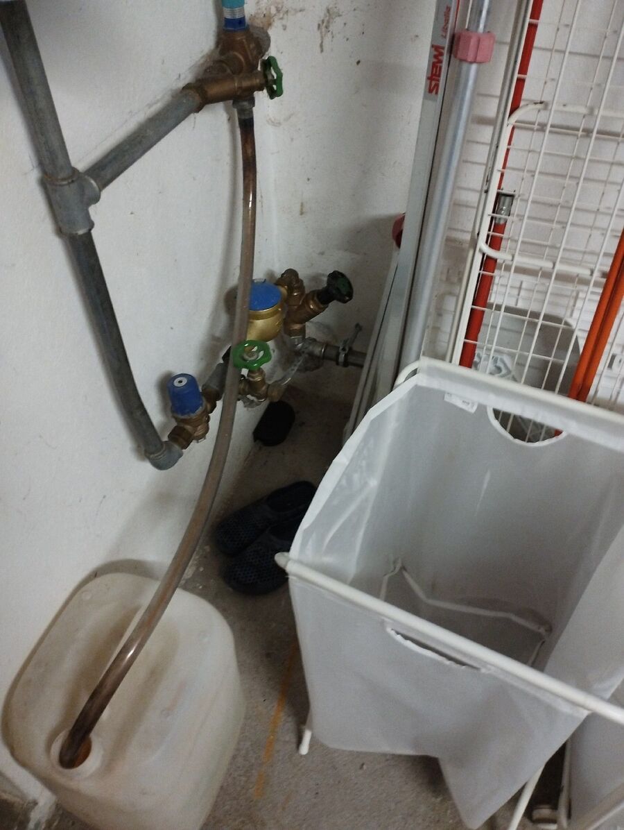 souris-rongeur-mulot-rats