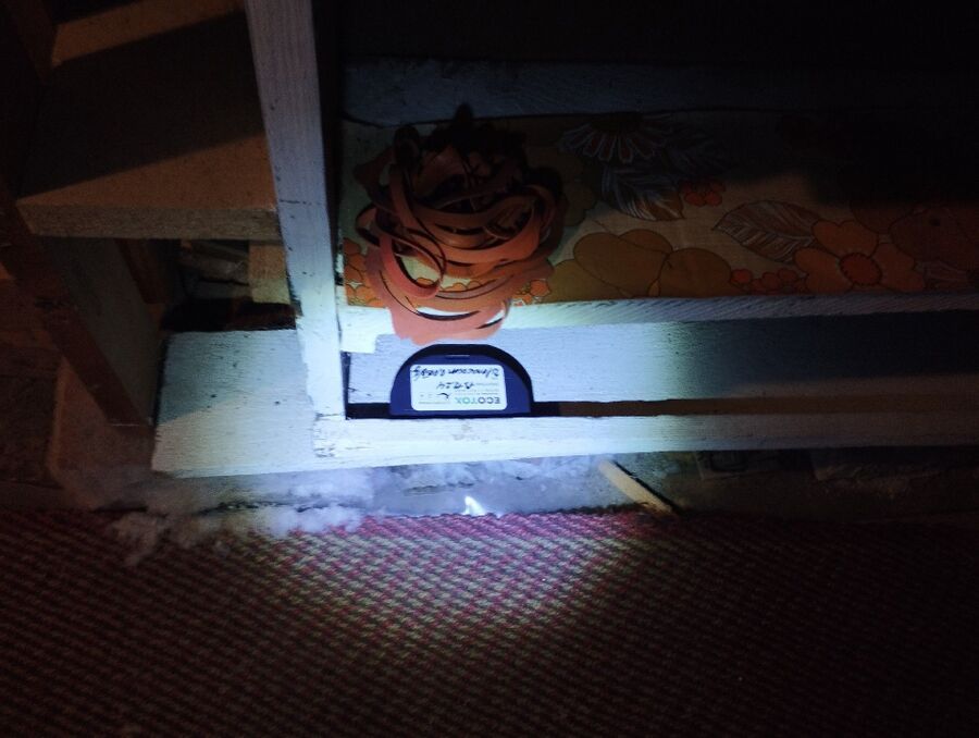 lutte-mulot-rats-rongeurs-souris