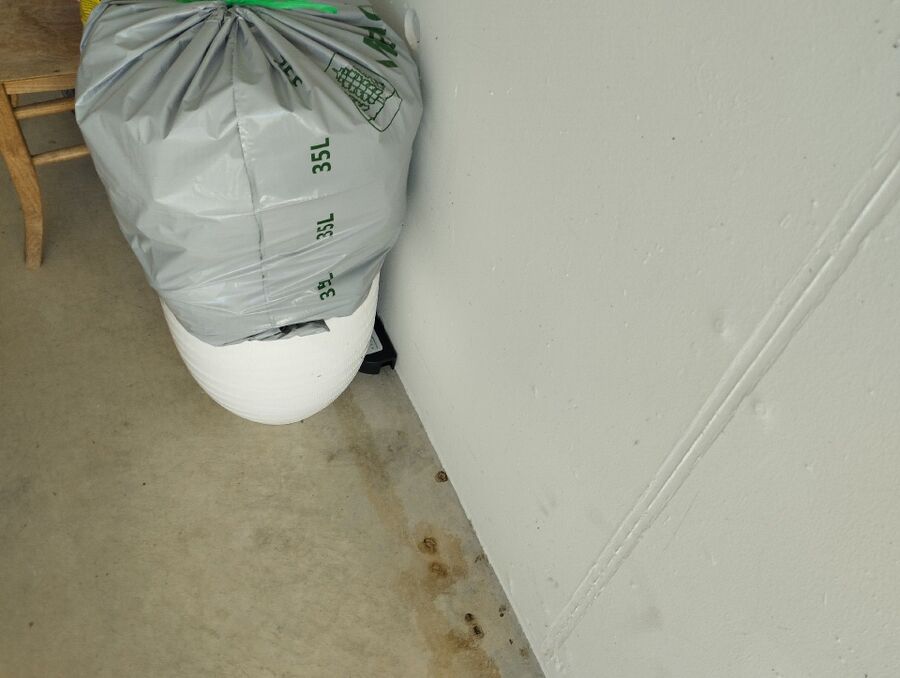 lutte-mulot-rats-rongeurs-souris