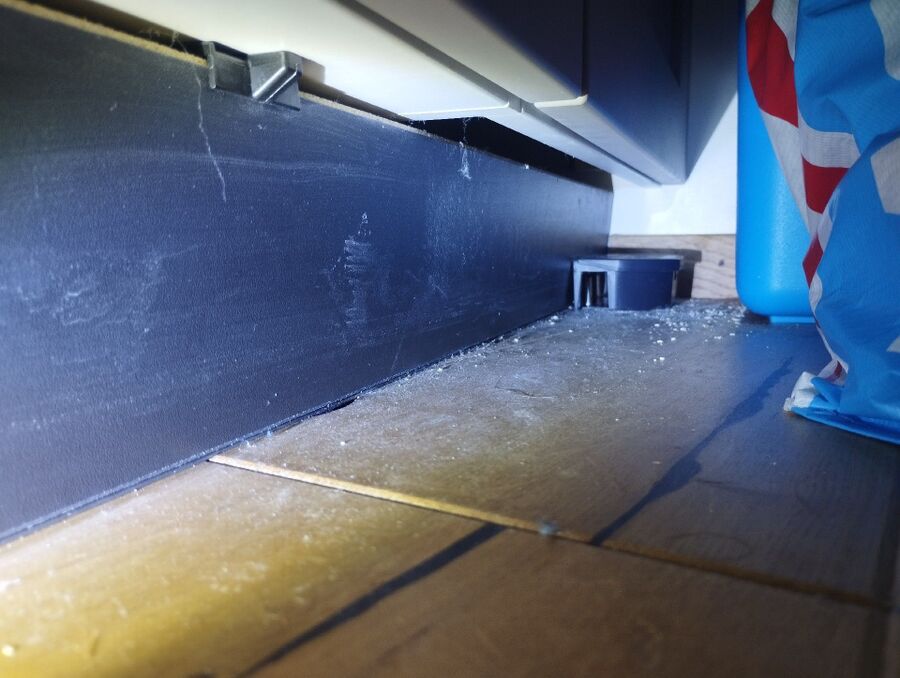 combattre-rats-ratton-rongeur-mulot