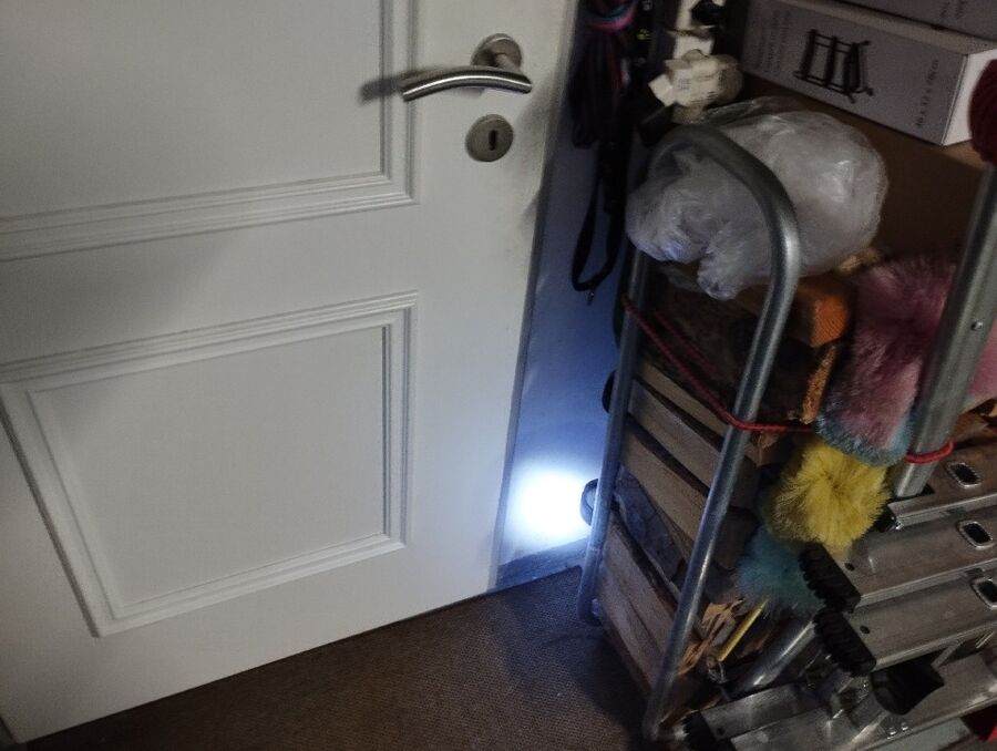 lutte-mulot-rats-rongeurs-souris