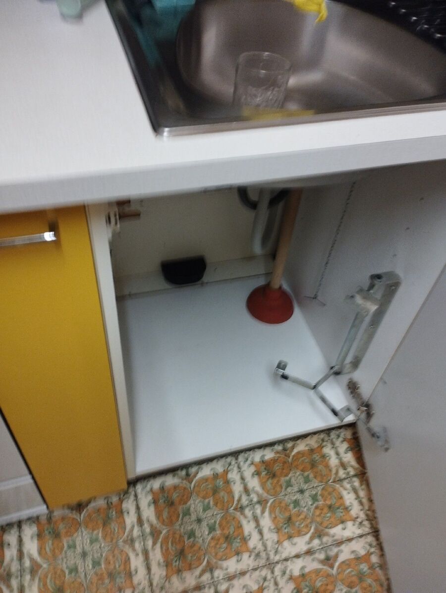 ratton-rats-rongeur-souris-deratiseur