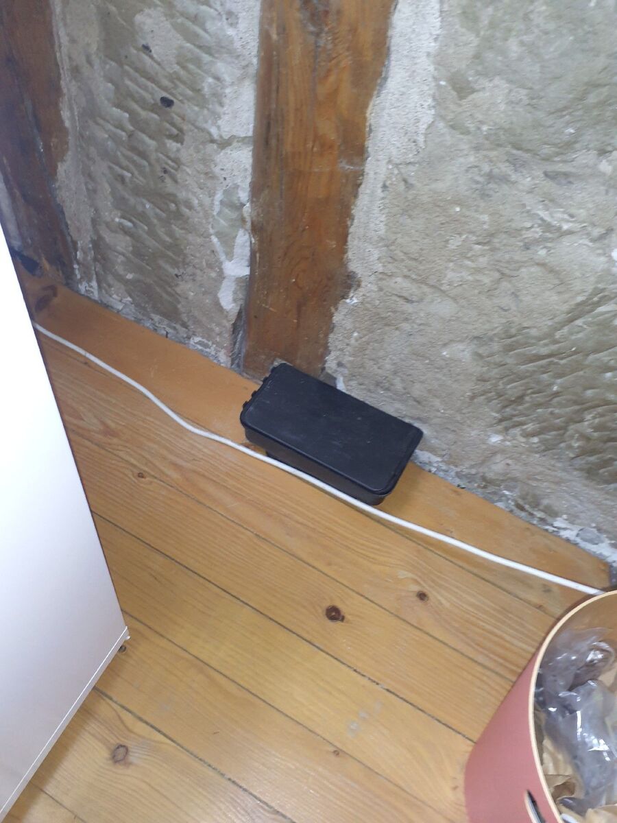 lutte-mulot-rats-rongeurs-souris