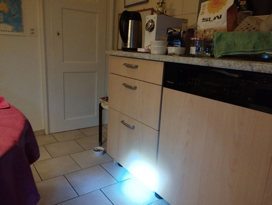 combattre-rats-ratton-rongeur-mulot