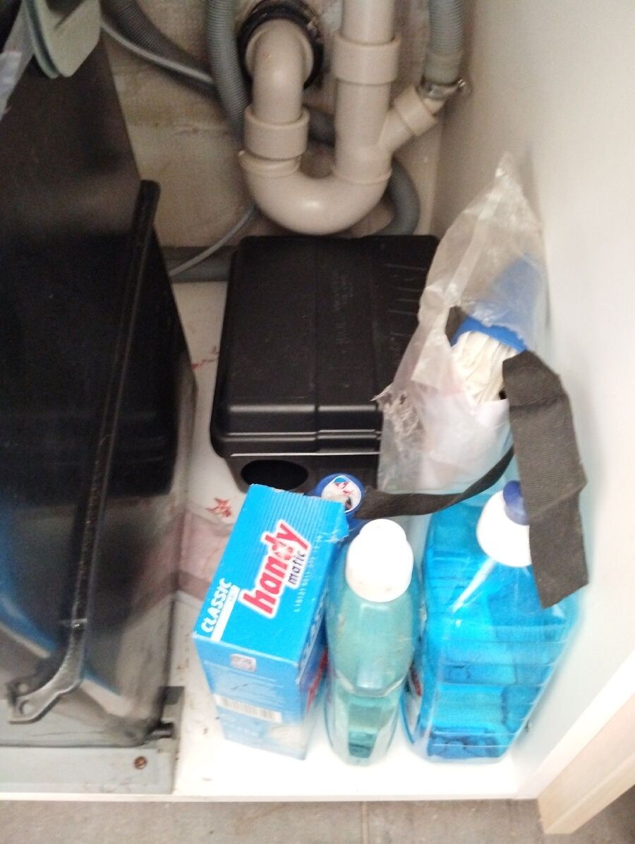 souris-rongeur-mulot-rats