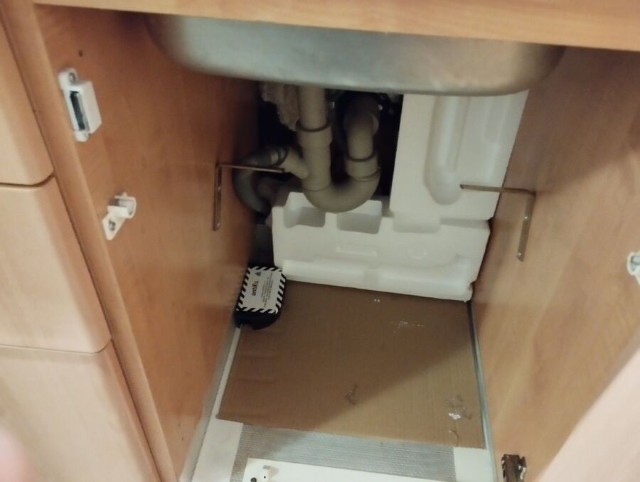 souris-rongeur-mulot-rats