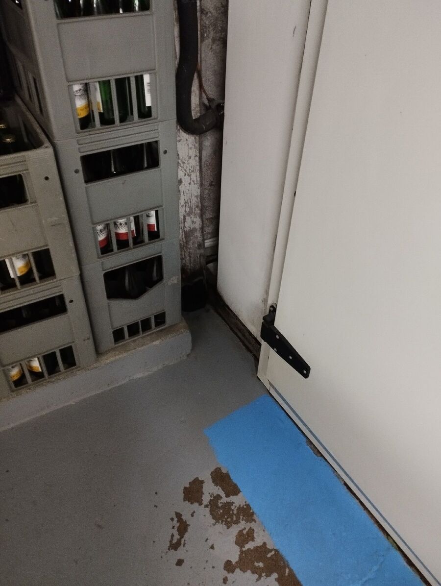 souris-rongeur-mulot-rats