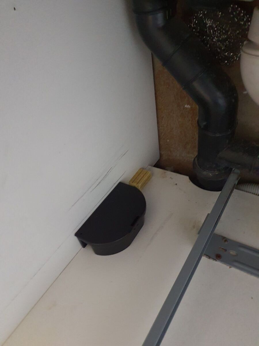 combattre-rats-ratton-rongeur-mulot