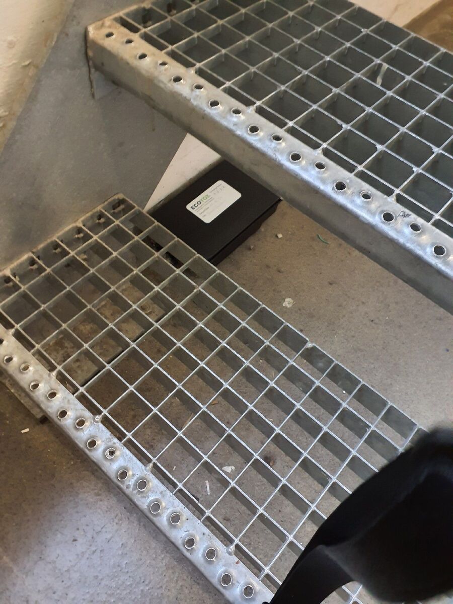 lutte-mulot-rats-rongeurs-souris