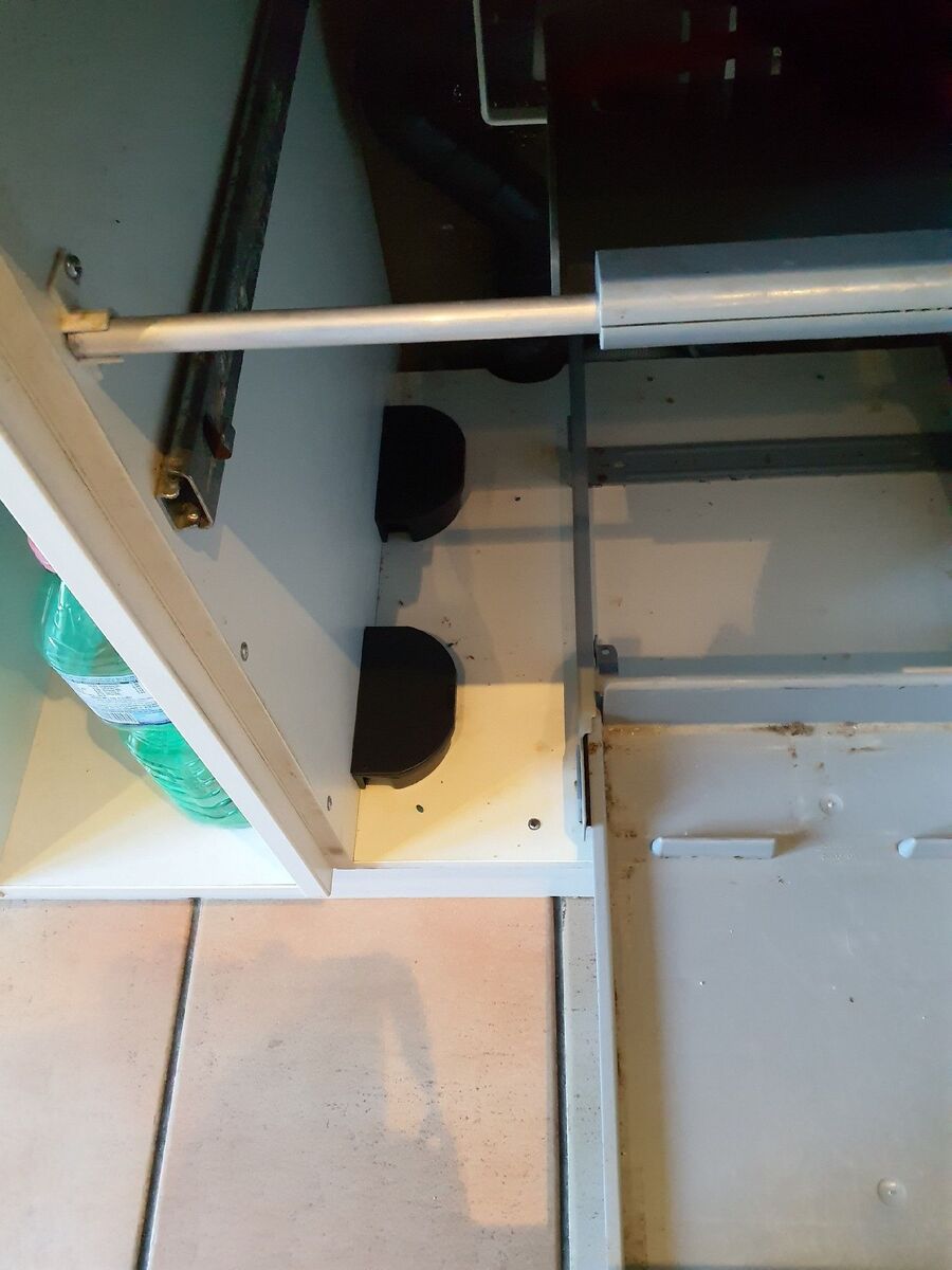 souris-rongeur-mulot-rats