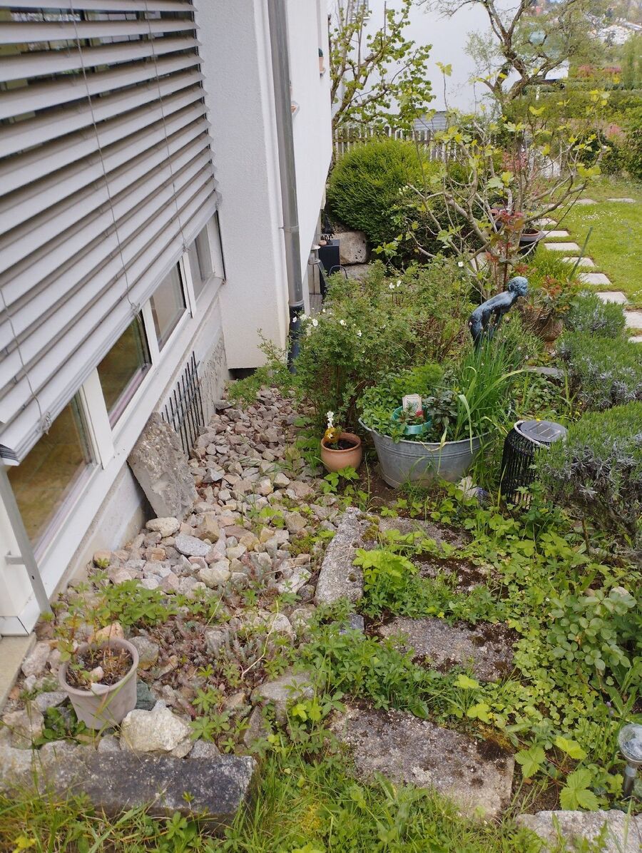 lutte-mulot-rats-rongeurs-souris