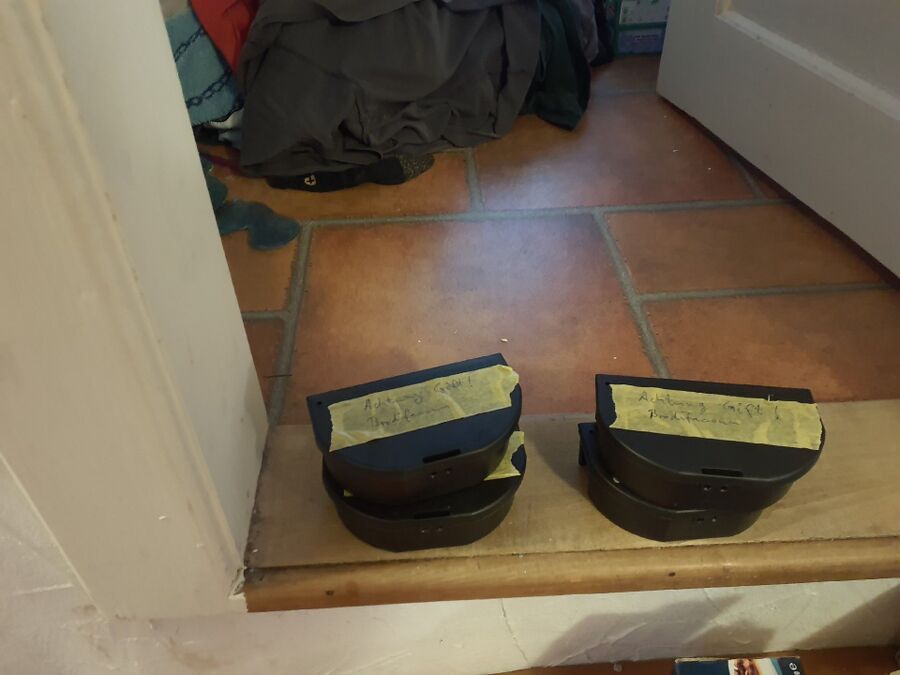 souris-rongeur-mulot-rats