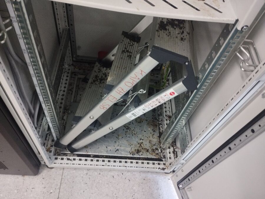 souris-rongeur-mulot-rats