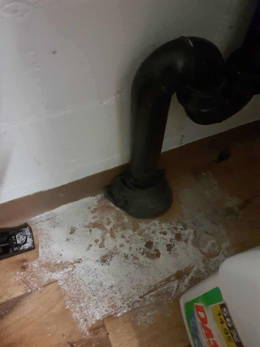 combattre-rats-ratton-rongeur-mulot