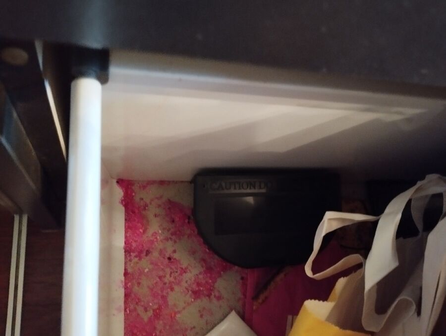 lutte-mulot-rats-rongeurs-souris