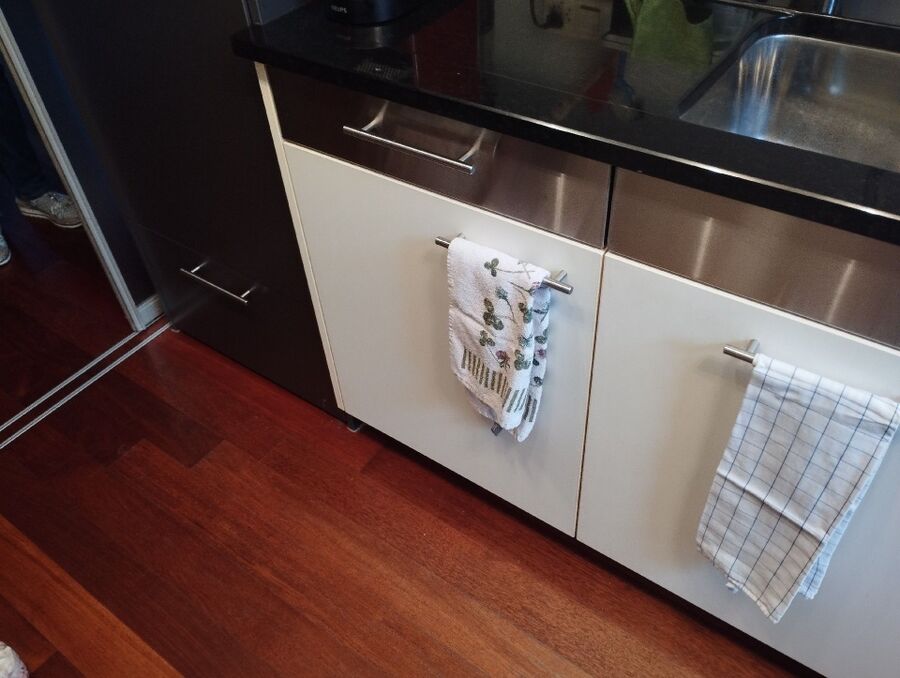 souris-rongeur-mulot-rats