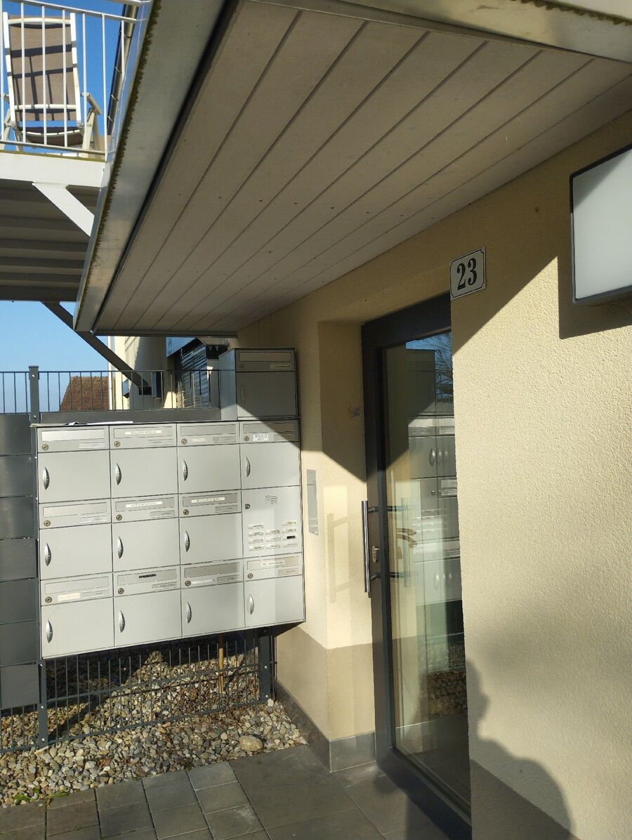 ratton-rats-rongeur-souris-deratiseur