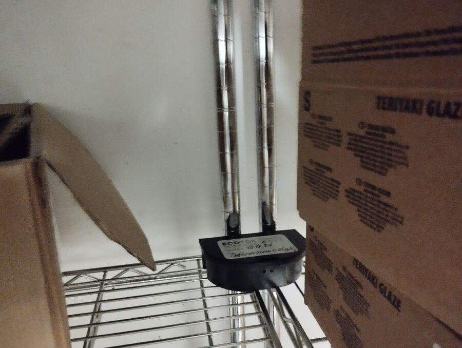 souris-rongeur-mulot-rats