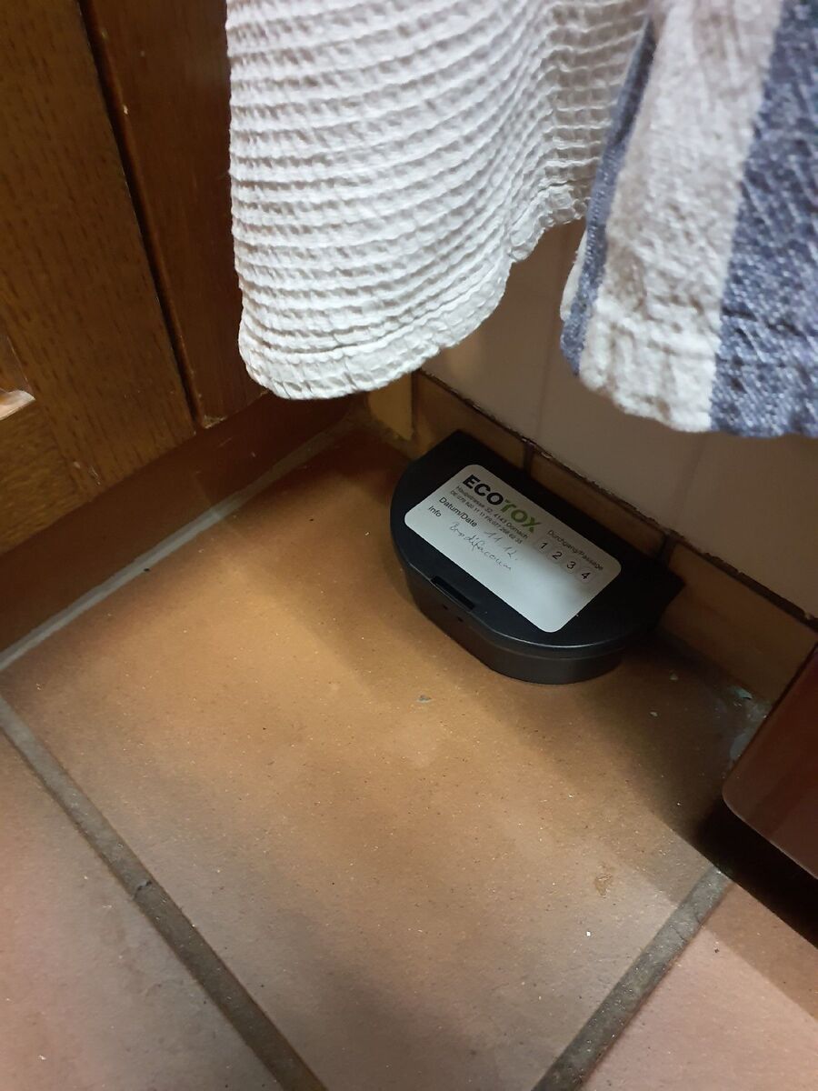 ratton-rats-rongeur-souris-deratiseur