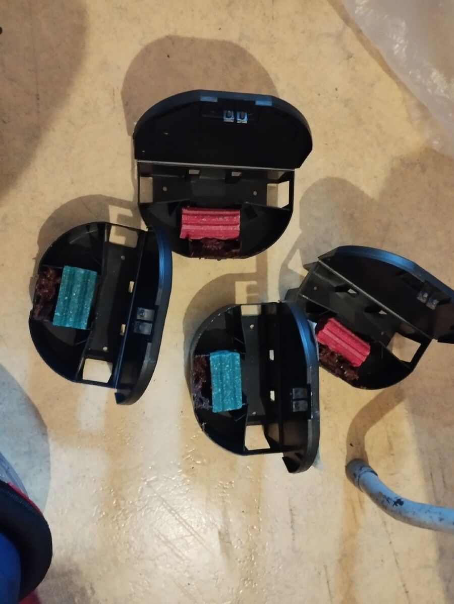 souris-rongeur-mulot-rats