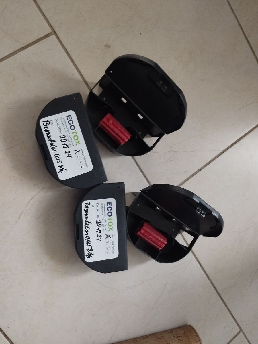 souris-rongeur-mulot-rats