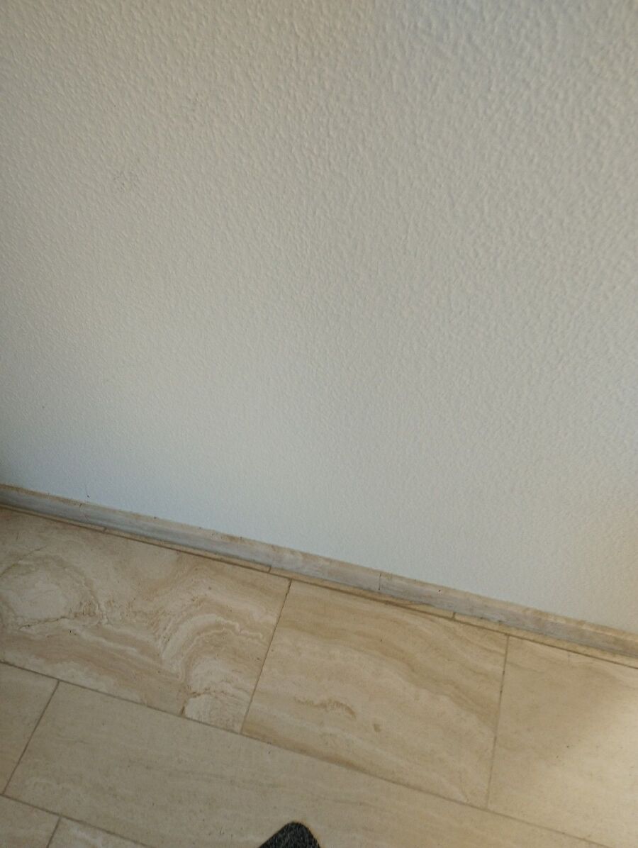 combattre-rats-ratton-rongeur-mulot