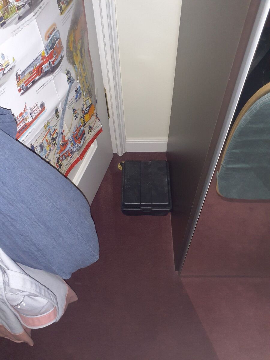 lutte-mulot-rats-rongeurs-souris