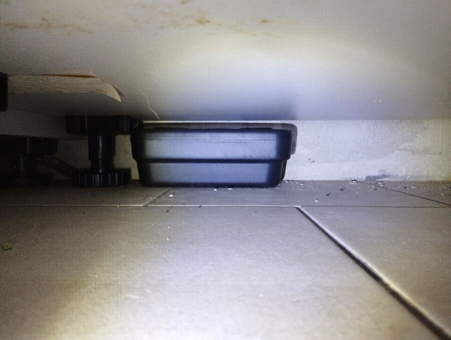 ratton-rats-rongeur-souris-deratiseur