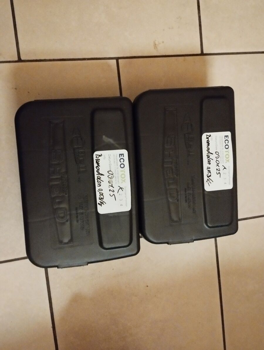 souris-rongeur-mulot-rats