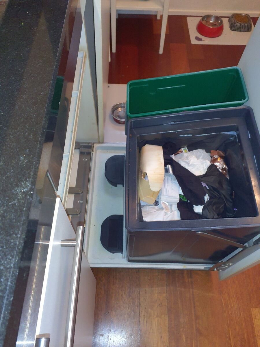 souris-rongeur-mulot-rats