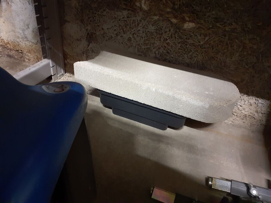 souris-rongeur-mulot-rats