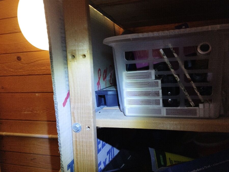 lutte-mulot-rats-rongeurs-souris