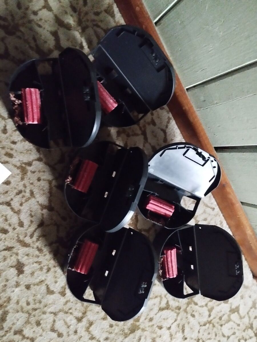 ratton-rats-rongeur-souris-deratiseur