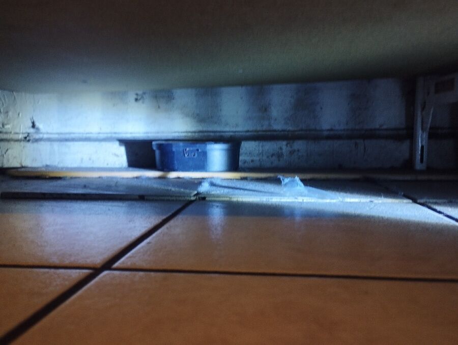 combattre-rats-ratton-rongeur-mulot