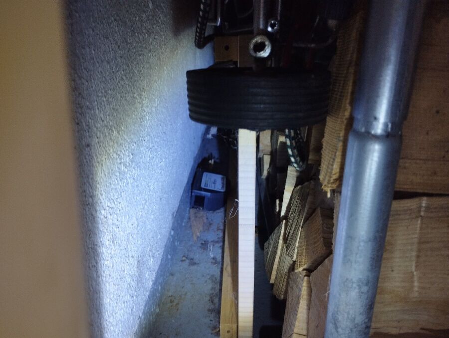 souris-rongeur-mulot-rats