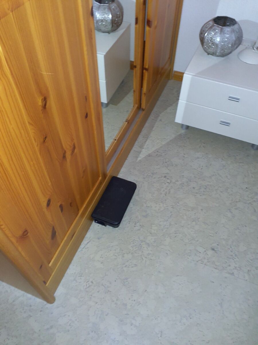 lutte-mulot-rats-rongeurs-souris