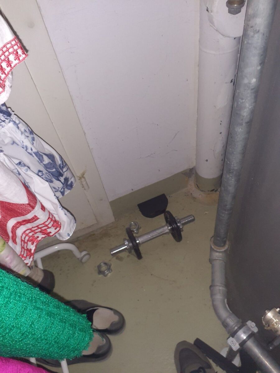 souris-rongeur-mulot-rats