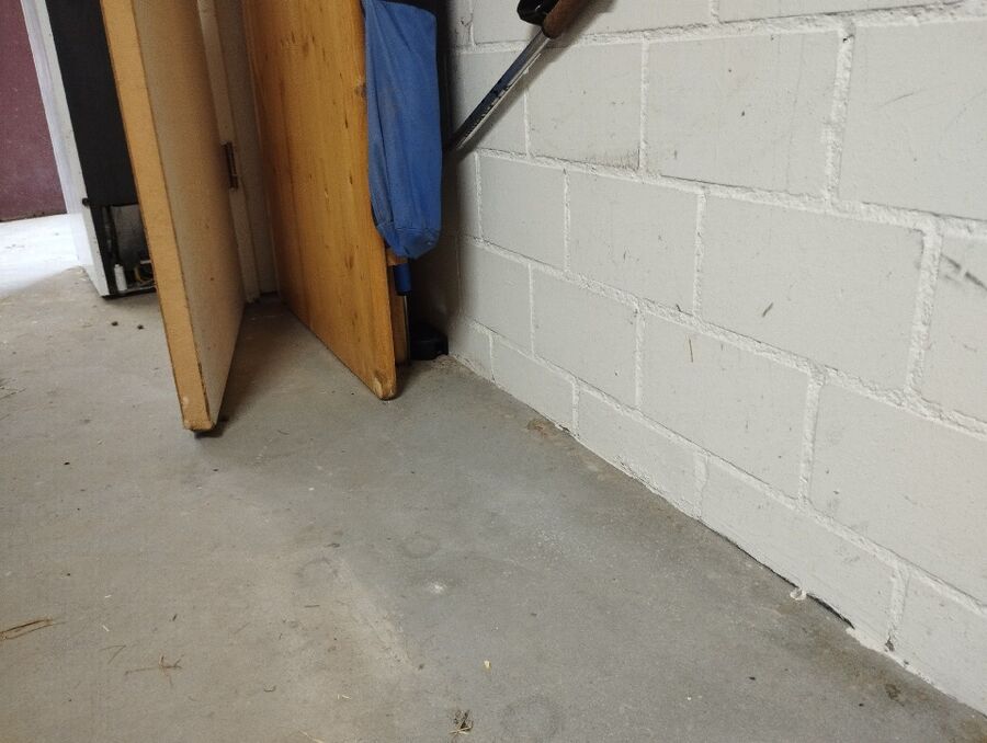 lutte-mulot-rats-rongeurs-souris