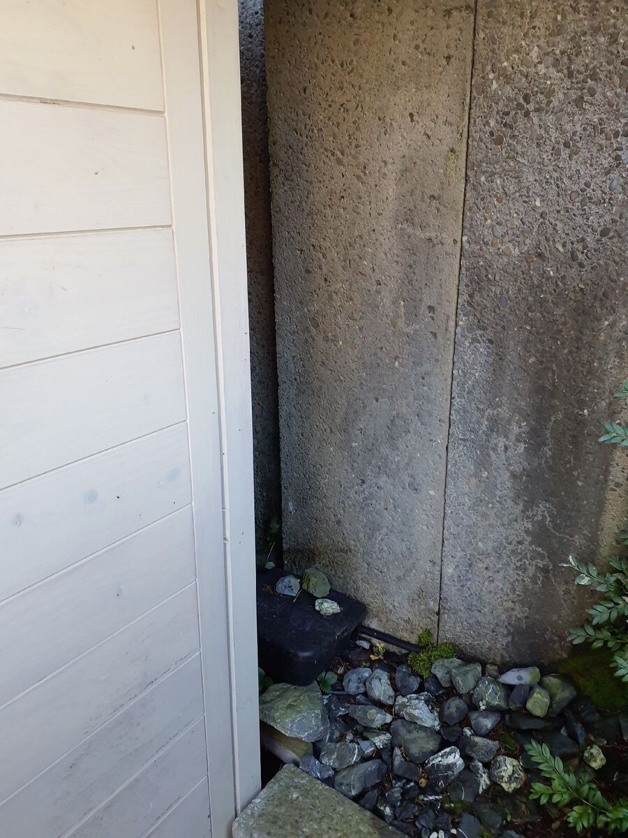 combattre-rats-ratton-rongeur-mulot