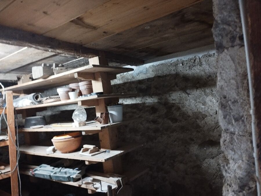 souris-rongeur-mulot-rats