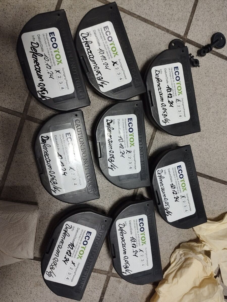 souris-rongeur-mulot-rats