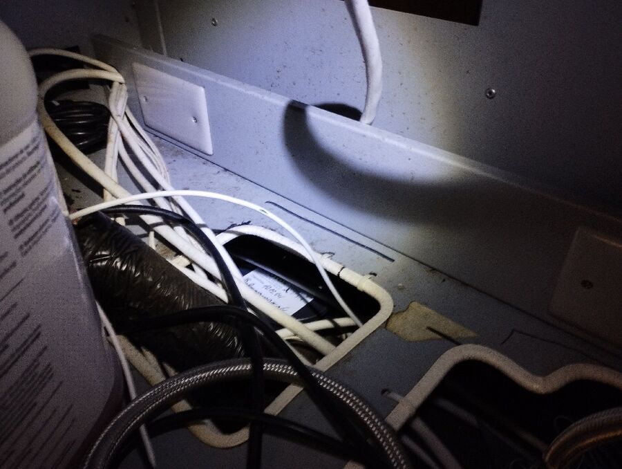 combattre-rats-ratton-rongeur-mulot