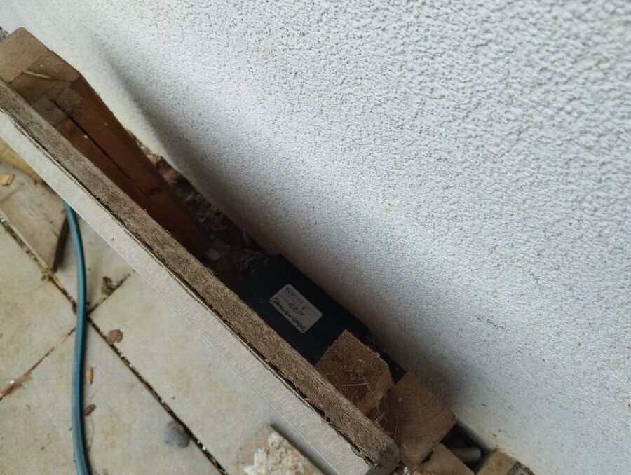 souris-rongeur-mulot-rats