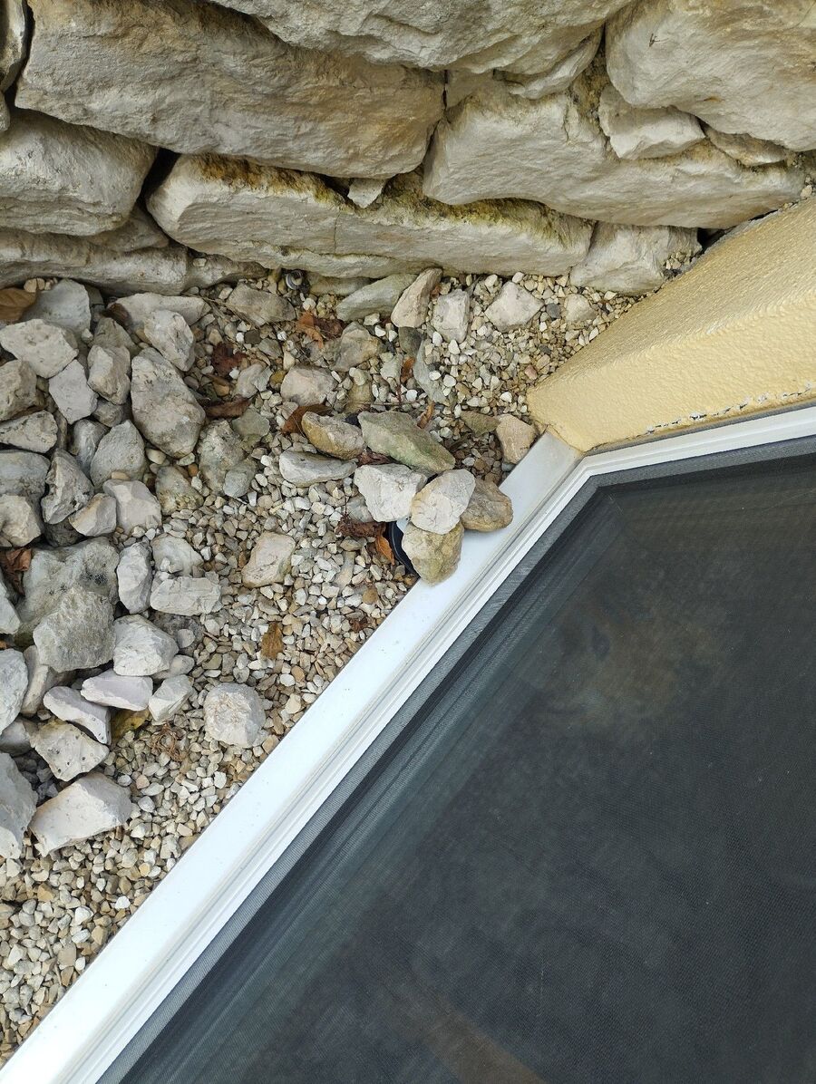 lutte-mulot-rats-rongeurs-souris